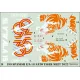 ModelMaker 1/72 D72199 Spanish F/A-18 NATO Tiger Meet 2022 Aircraft Decal