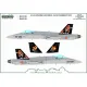 ModelMaker 1/72 D72199 Spanish F/A-18 NATO Tiger Meet 2022 Aircraft Decal