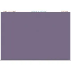 Aviattic ATT32253 1/32 (Clear decal paper) German Lila dark paint on linen