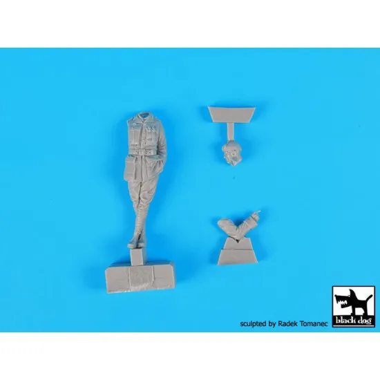 Black Dog F32024 1/32 French fighter pilots set