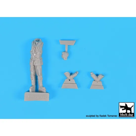 Black Dog F32030 1/32 RAF pilots set 1940-1945