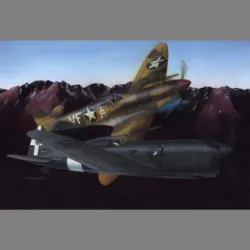 LF Models 4801 1/48 Ambrosini SAI 207