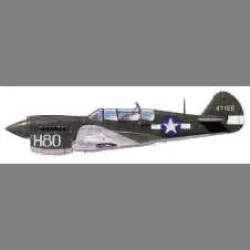 LF Models 7206 1/72 Curtiss TP-40N