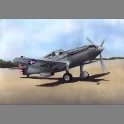 LF Models 7259 1/72 Curtiss XP-40