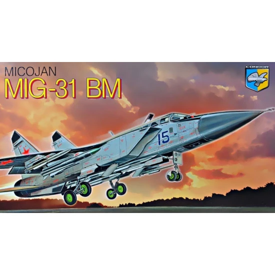 MIG-31 BM