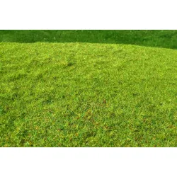 Model Scene F001 Cut Meadow Spring Colour 18/28 Cm Diorama Upgrade Accessories