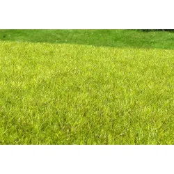 Model Scene F010 Wetland Light The Grass 18/28 Cm Diorama Upgrade Accessories