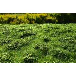 Model Scene F502 Meadow With Low Bushes Early Summer 18/28 Cm Accessories For Diorama