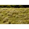 Model Scene F523 Fallow Field Late Summer 18/28 Cm Diorama Upgrade Accessories
