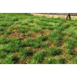 Model Scene F532 Steppe Green Early Summer 18/28 Cm Diorama Upgrade Accessories