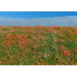 Model Scene F565 Blooming Meadow Poppies 18/28 Cm Diorama Upgrade Accessories