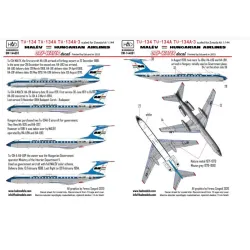 Hadmodels Dw-144001 1/144 Tu-134 Tu-134 A Tu-134 - A-3 Malev 70-80 Years Dry-water Decal Sheet