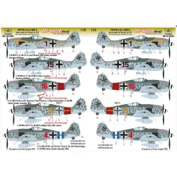 Hadmodels Dw-ap35004 1/35 Fw 190 A-8 A-8/R-2 Dry-water Decal