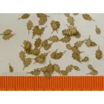 Model Scene L3-202 1/35 Oak Dry Leaves Diorama Upgrade Accessories