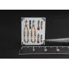 Metallic Details Mdp72029 1/72 P-47 P-51 Seat Belts Accessories Kit