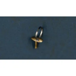 Mini World 4884 1/48 Bf109g/K Loop Antenna Accessories Kit