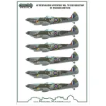 Model Maker D48066 1/48 Supermarine Spitfire Mk Xvi Bubbletop In Polish Service