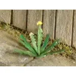 Model Scene Vg3-005 1/32-1/35 Dandelion Diorama Upgrade Accessories