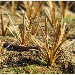 Model Scene Vg3-042 1/32-1/35 Grass Tufts Dry Diorama Upgrade Accessories