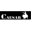 Ceasar Miniatures