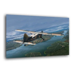 Miniwing 360 1/144 De Havilland Canada L-20a Beaver In Vietnam War Aircraft