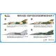 Mark I Mkm144133 1/144 Mirage Iiidp/5sdd/5dm/Nesher T Two-seater Asia And Africa