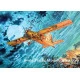 Fairchild AU-23A Peacemaker Swiss aircraft 1/48 Roden 439