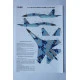 SUKHOI SU-27S, UKRANIAN AIR FORCES, DIGITAL CAMOUFLAGE 1/32 Foxbot FM 32-003