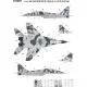 MIKOYAN MIG-29UB, UKRANIAN AIR FORCES, DIGITAL CAMOUFLAGE 1/32 Foxbot FM 32-005