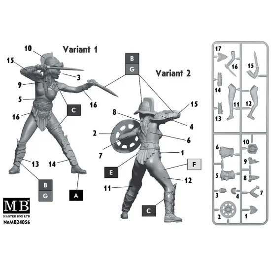 Us Stock Master Box 24056 - 1/24 Dimachaerus Master Of Two Blades Champion - Parselen