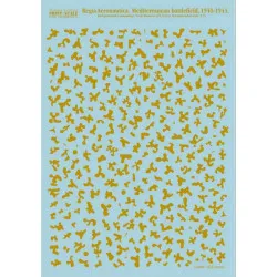 Print Scale 002-camo - 1/72 Regia Aeronautica Mediterranean battlefield decal