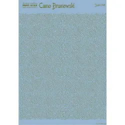Print Scale 008-camo - 1/48 Camo Brumowski, Wet decal Aircraft
