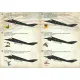 Print Scale 48-112 - 1/48 Decal for Airplane Lockheed F-117 Nighthawk Part-2