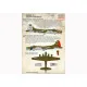 Print Scale 48-115 - 1/48 Decal for Airplane Boeing B-17 Flying Fortress, Part 1