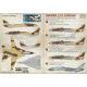 Print Scale 48-117 - 1/48 Decal for Airplane F-14 Tomcats