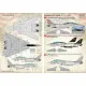 Print Scale 72-275 - 1/72 Decal For F-14 Tomcat, Part 2 (Aircraft wet decal)