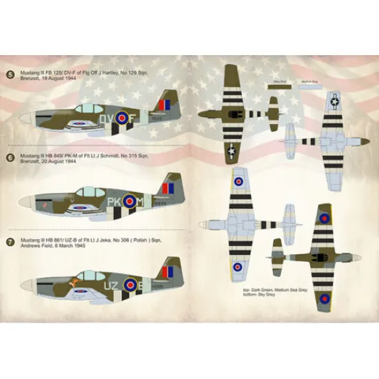Print Scale 72-286 - 1/72 V1 Flying Bomb Aces Mustang, Aircraft wet decal