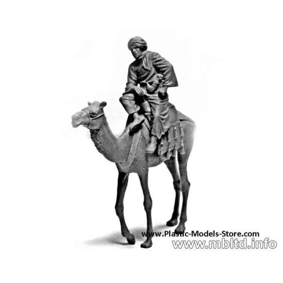 Commonwealth AFV crew English troops in SsNorthern Africa 1/35 Master Box 3564