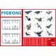 MINIART 38036 1/35 PIGEONS Plastic accessory 12 figures