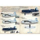 Print Scale 72-399 - 1/72 Chance-Vought F4U Corsair. Argentina (wet decal for aircraft)