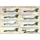 Print Scale 72-376 - 1/72 Gloster Javelin. Part 5 (wet decal for aircraft)