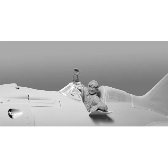 ICM 32013 - 1/32 - I-153 with Soviet Pilots (1939-1942)