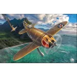 Dora Wings DW 48010 Granville P-45B Bee Killer plastic model kit, scale 1/48