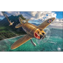 Dora Wings DW 48010 Granville P-45B Bee Killer plastic model kit, scale 1/48