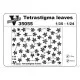 Vmodels 35055 - 1/35 - Photo-etched for Tenrastigma leaves scale kit
