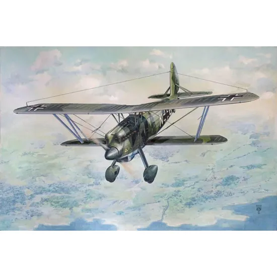 Roden 454 - 1/48 - Arado Ar 68F-1. Scale model aircraft