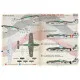 Print scale 72-430 - 1/72 FW-190 D-9 Part 2 decal for aircraft