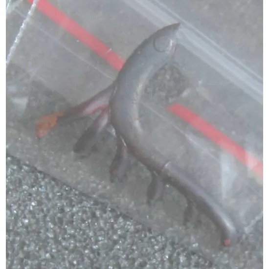 REXx 32009 - 1/32 Pfalz D.XII late exhaust for Wingnut Wings metal model