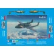 Mikro Mir 72-023 - 1/72 Mitsubishi J4M Senden scale plastic model kit aircraft