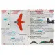 Print Scale PRS48-216 - 1/48 Messerschmitt Me-163B Komet Wet Decals for aircraft model